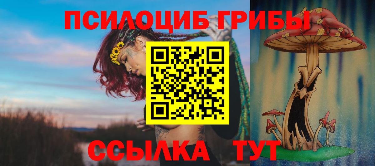 купить наркотик  Галлюциногенные грибы прущие грибы  Вход с VPN  Вольск 
