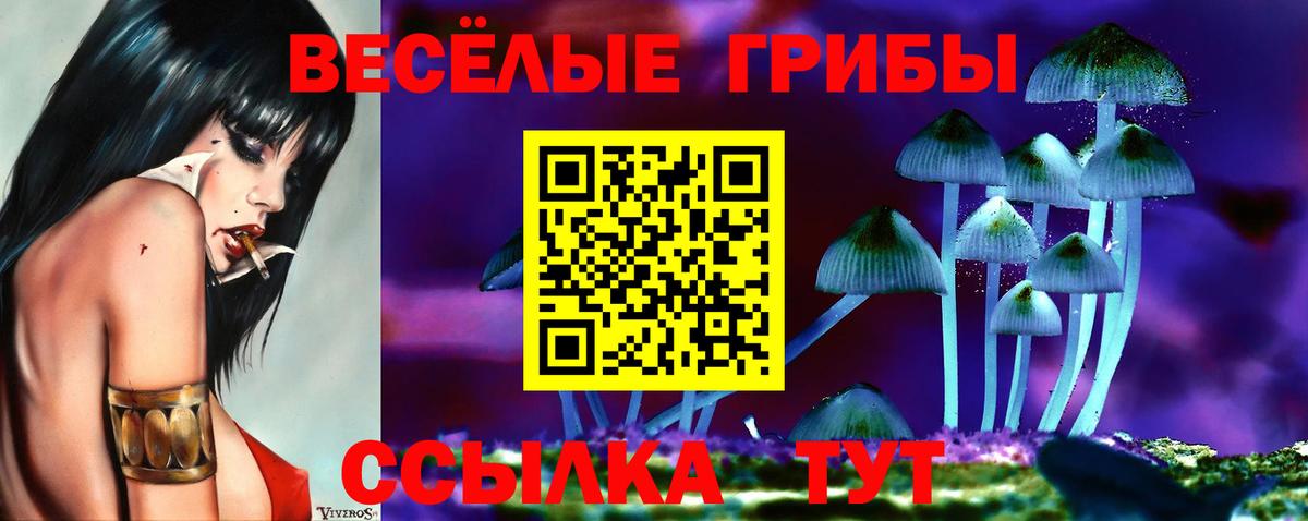 Галлюциногенные грибы Cubensis Вольск