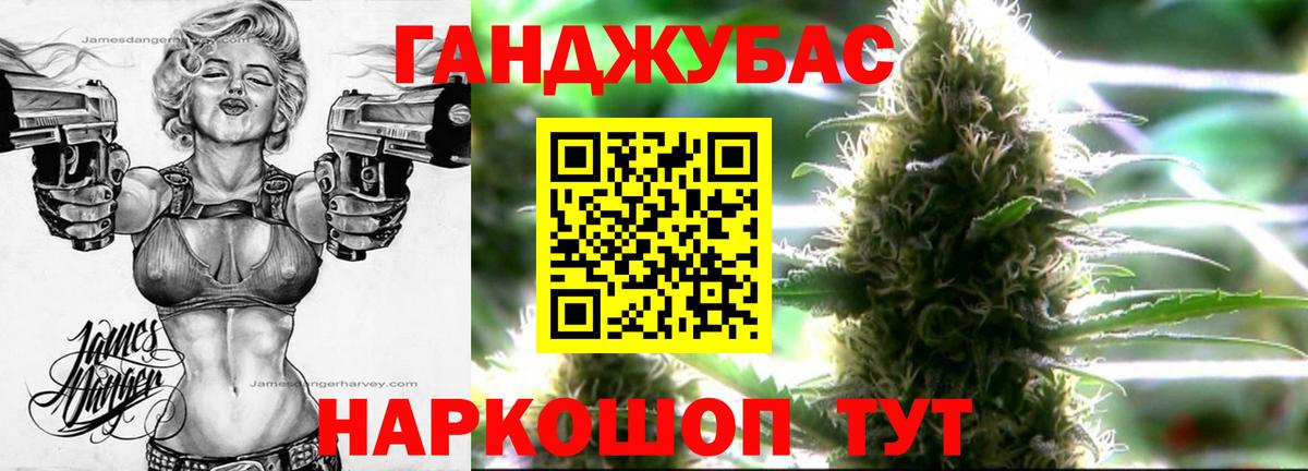 Канабис сатива  Каннабис планчик  Вольск  Вход с VPN  Канабис VHQ 