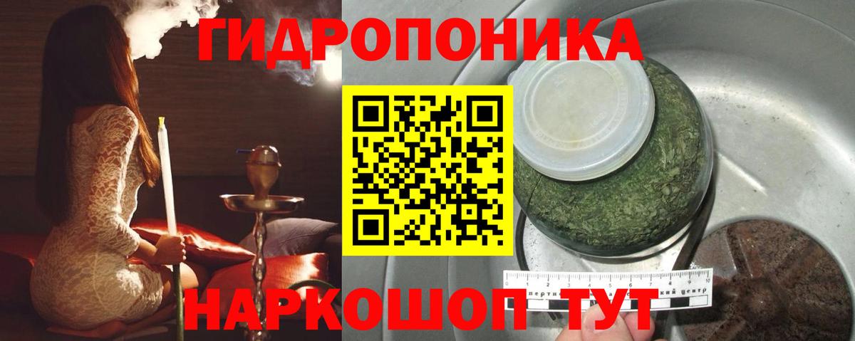 Конопля Amnesia Вольск